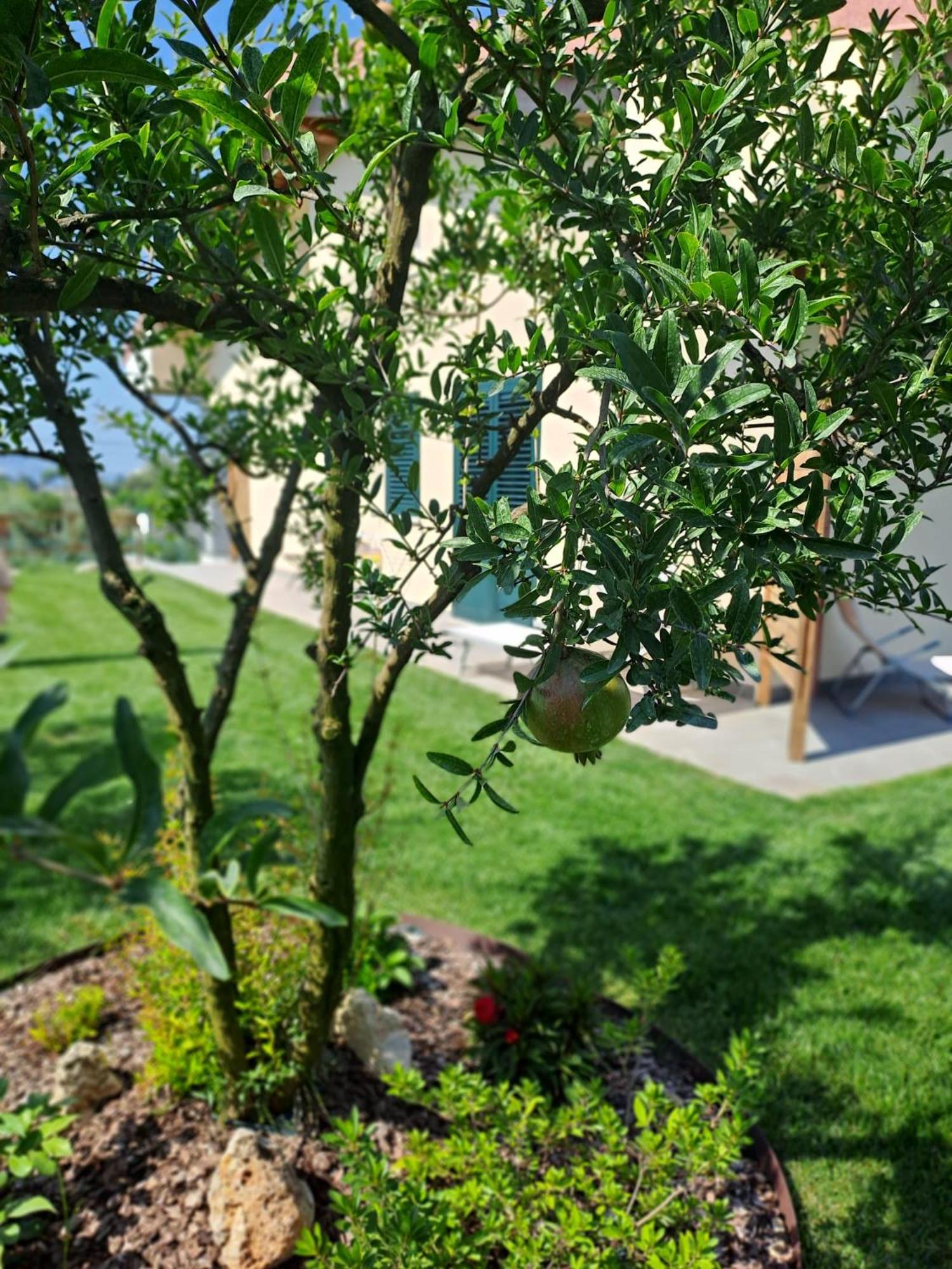 Bed and Breakfast La Campagna Di Peppe E Tullia Formia Exterior foto